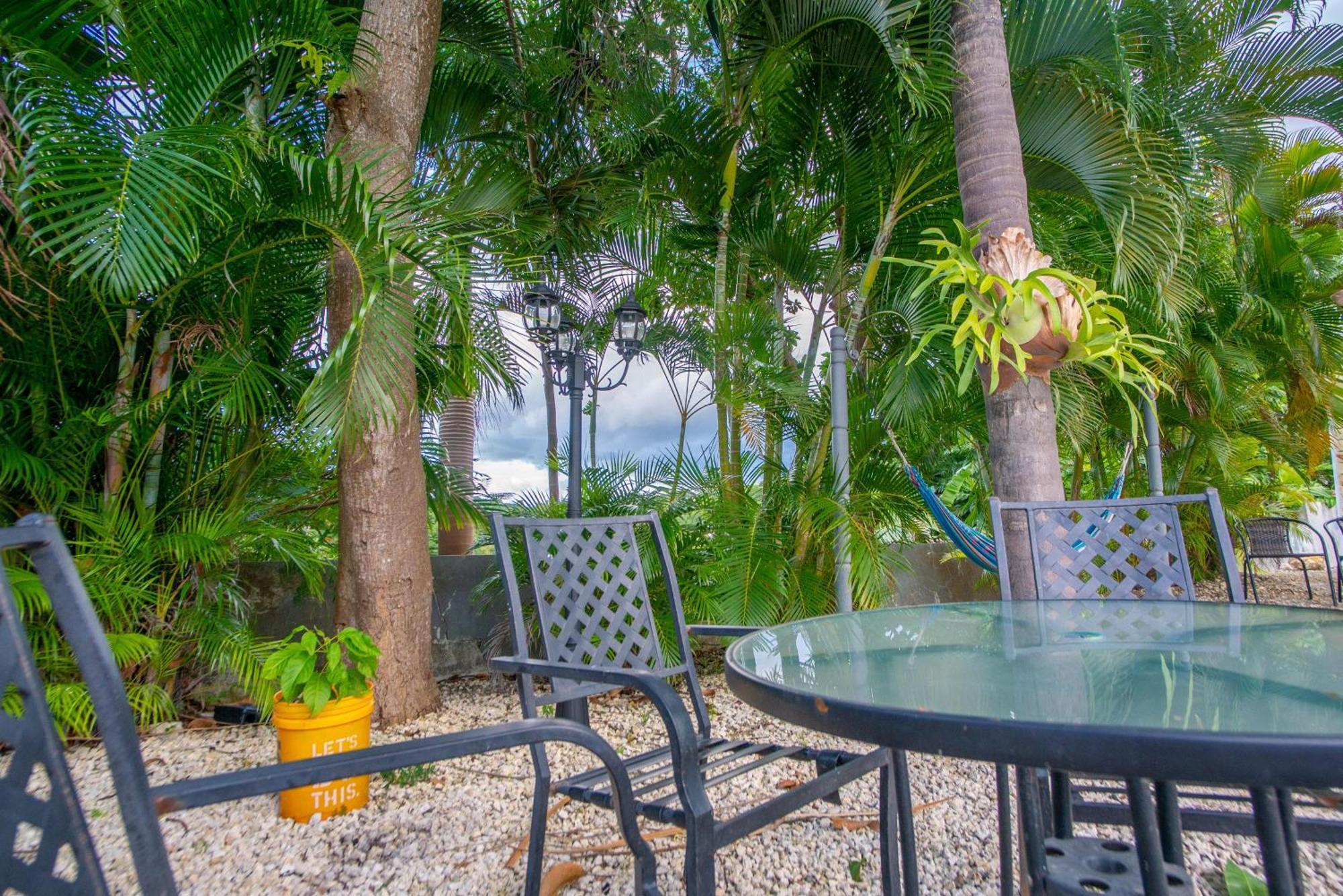 Casa Loba Suite 4 With Private Pool Rincón Eksteriør billede