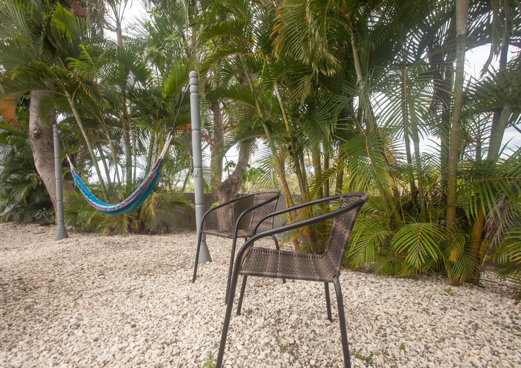 Casa Loba Suite 4 With Private Pool Rincón Eksteriør billede